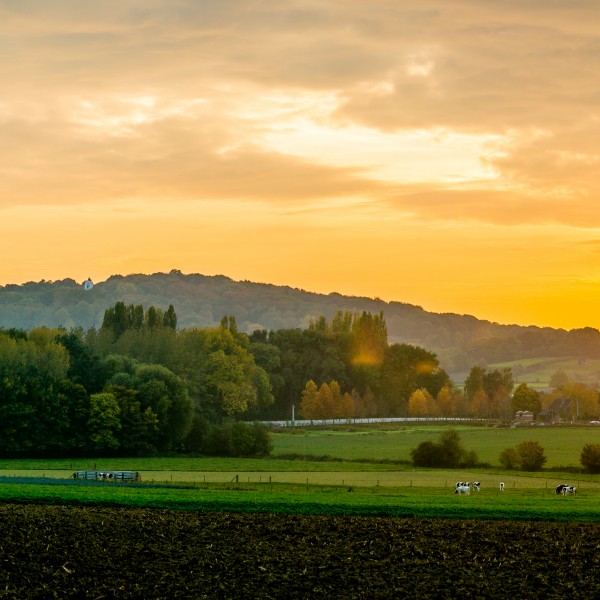 Panorama Kemmelberg ©ThierryCaignie