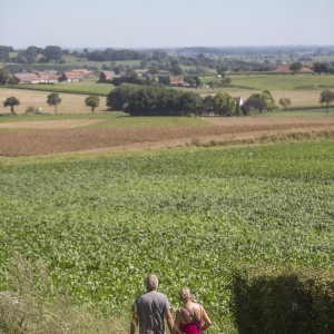 Knooppuntenwandeling Loker (Foto © ANB)