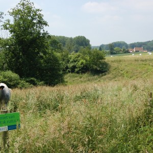 Scherpenbergpad (Foto © Rudy Claeys)
