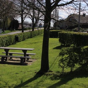 Picknickzone nabij Terrierstraat