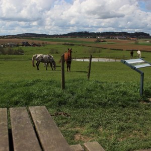 Picknickzone bij knooppunt 59