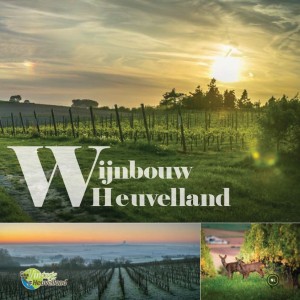 Wijnbouw Heuvelland