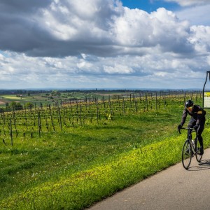 Grote Wijnprijs Heuvelland 2022_©Thierry Caignie