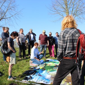 Veldwerk Bos Kemmelberg ©Palingbeek