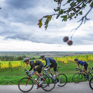 Heuvelland_Monteberg_wijngaard_fietsers_vintage fietsourte_wielertoeristen_web© Jan D’Hondt