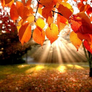 herfstvakantie