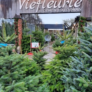 Viefleurie