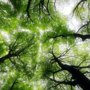 Schermopname_4-3-2026_101929_heuvelland.be