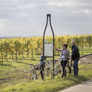 Vintage Heuvelland Fietsroute©DavidSamyn