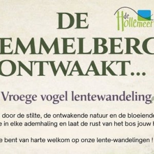 De Kemmelberg Ontwaakt - Vroege vogel lentewandeling langs boshyacinten.