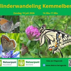 Vlinderwandeling Kemmelberg