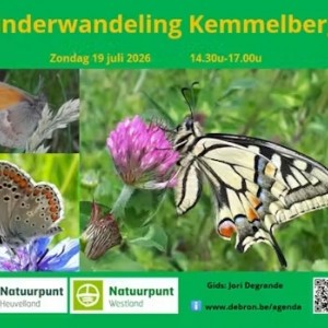 Vlinderwandeling