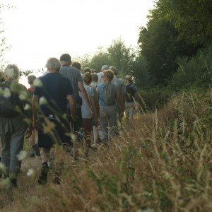 Dag van de Trage Weg - Westouter