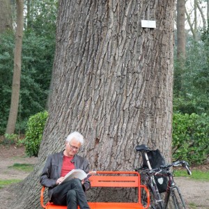 Lezing - Bomen fluisteren verhalen- Dirk Waelput