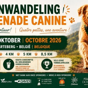 De allereerste hondenwandeling op de Zwarteberg!