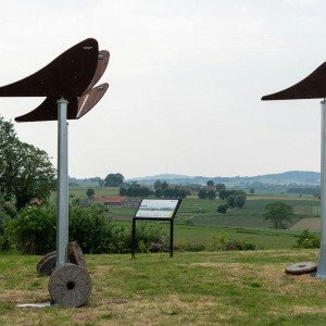 Natuur-en cultuurwandeling