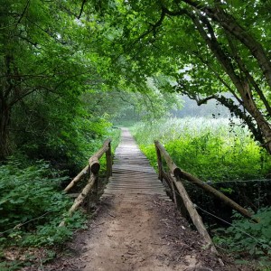 Elfbergentocht