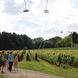 Wijngaard_Wandelen_Kabelbaan_2014©Westtoer