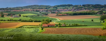 Heuvelland_lente_Loker_akker_panorama_2020_©Thierry Caignie