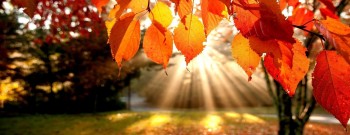herfstvakantie