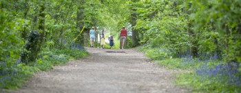 Toerisme Heuvelland_wandelaars Kemmelberg_Hyacinten (2)