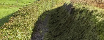 Nieuwkerke_wandelen_kids_2019 © Jan D’Hondt