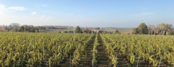 Wijndomein Rozenhill