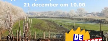 WarmsteWandeling_Equisense