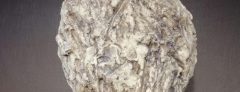 Expo Inge Cappoen & Pieter Lerooij