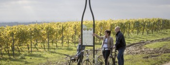 Vintage Heuvelland Fietsroute©DavidSamyn