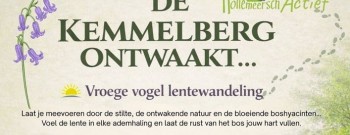 De Kemmelberg Ontwaakt - Vroege vogel lentewandeling langs boshyacinten.