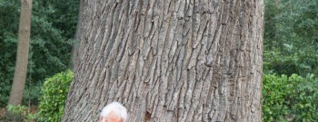 Lezing - Bomen fluisteren verhalen- Dirk Waelput