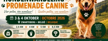 De allereerste hondenwandeling op de Zwarteberg!