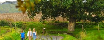 Wandeling op en rond de Scherpenberg – Pierre Hubeau