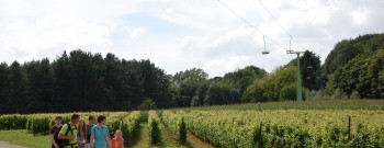 Wijngaard_wandelen_kabelbaan_2014_©Westtoer