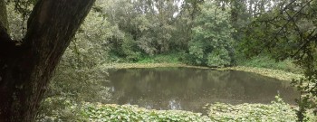Kraterstocht