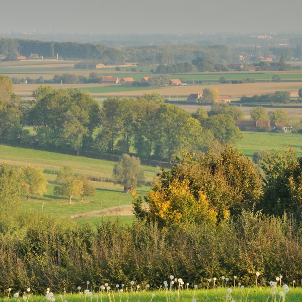 Fietsroute Dranouter (Foto © Tom Linster)