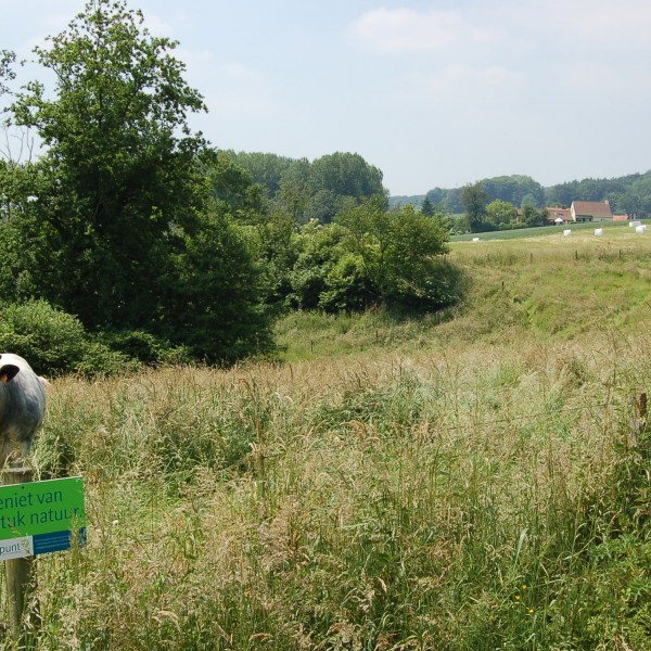 Scherpenbergpad (Foto © Rudy Claeys)