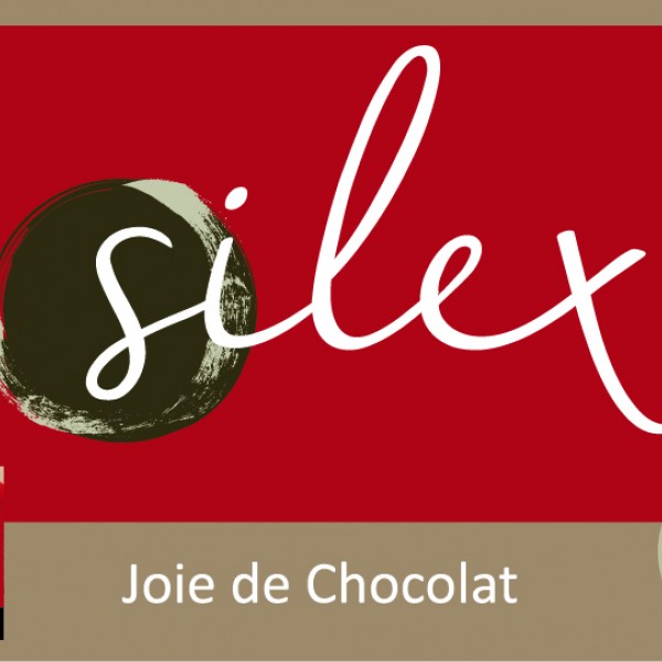 Silex - logo