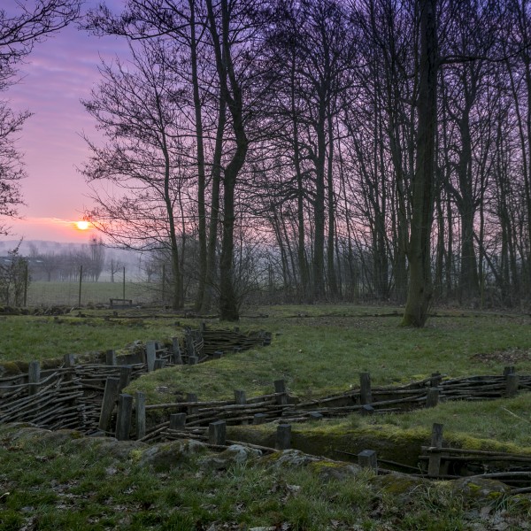 Heuvelland_Bayernwald_Zonsopgang