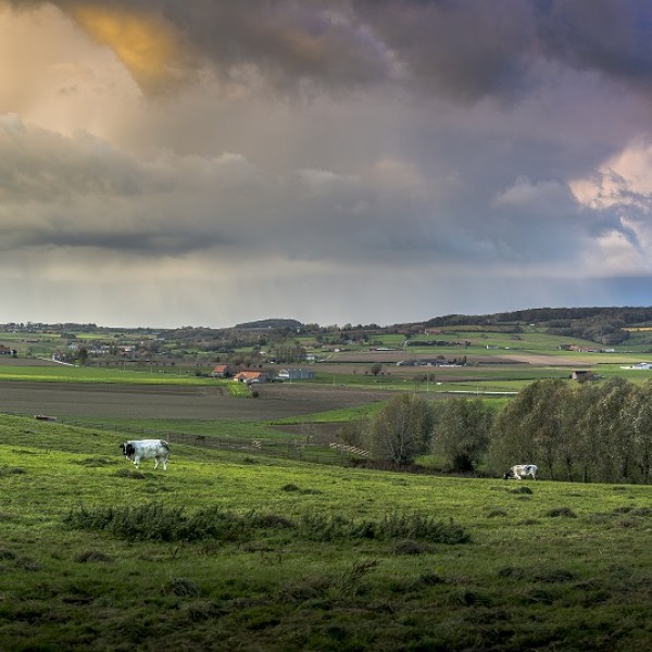 Toerisme Heuvelland - walletjes - nieuwkerke_@ThierryCaignie