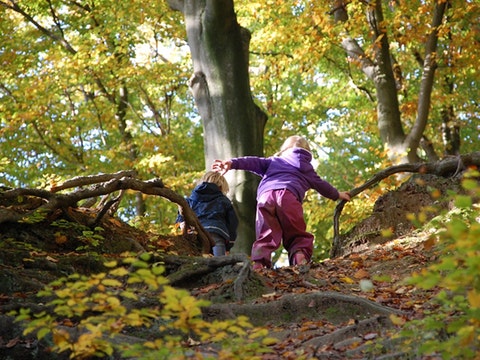 Over de Kemmelberg © RLWH