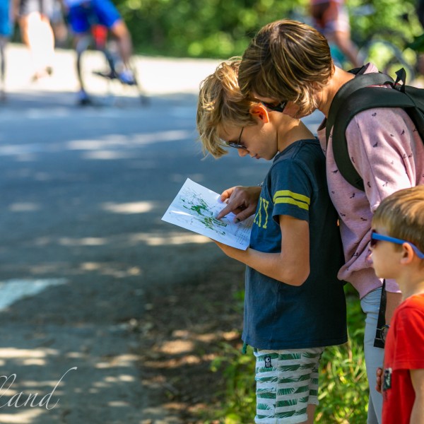 Kemmelberg_zomer2020_©ThierryCaignie
