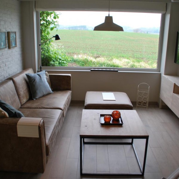 Sitting area with cosy leather seats , panoramic view , radio & TV