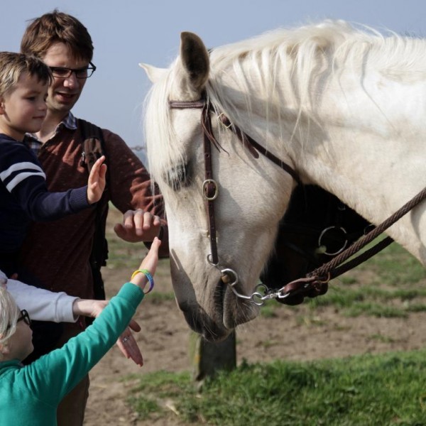 gezin paardrijden