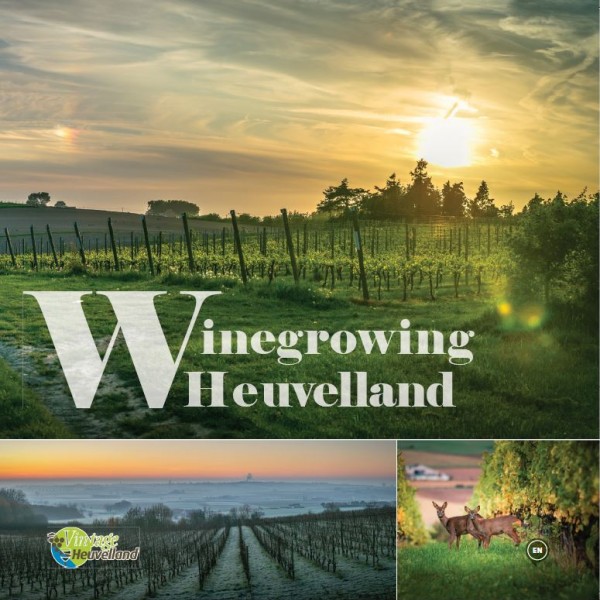 Winegrowing Heuvelland