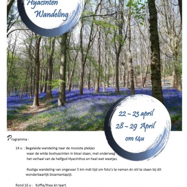 Hyacintenwandeling_DeHollemeersch_2023