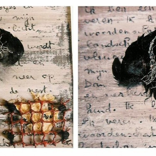 AtelierInBeeld_FrieHardeman_vogelvlerk1+2 - in kistjes van