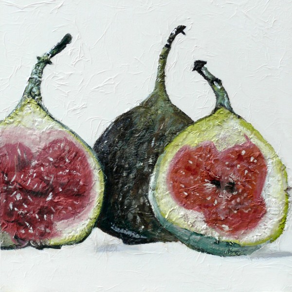 AtelierInBeeld_FrieHardeman_vijgen (11)