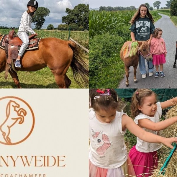 Ponyweide